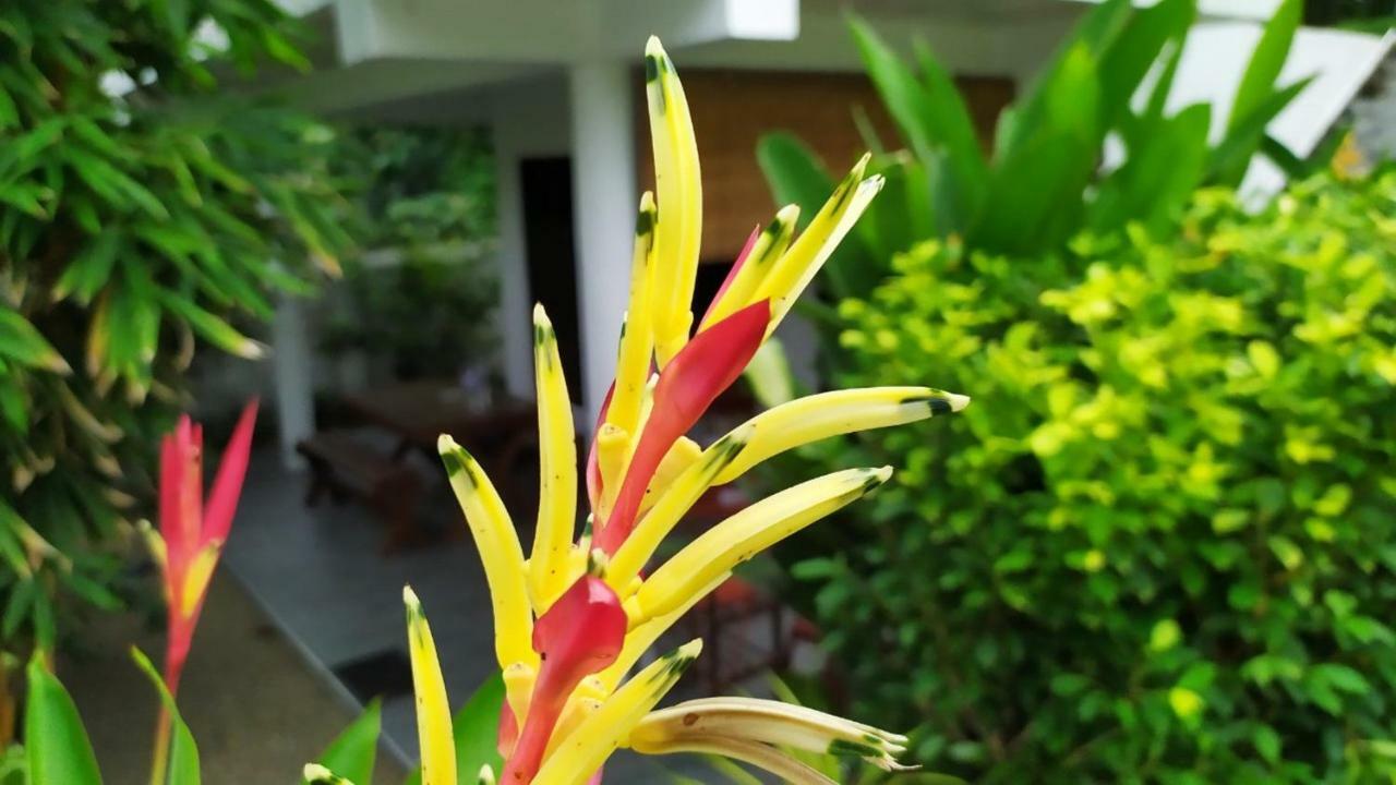 Sunbeam Villa Tangalle Esterno foto